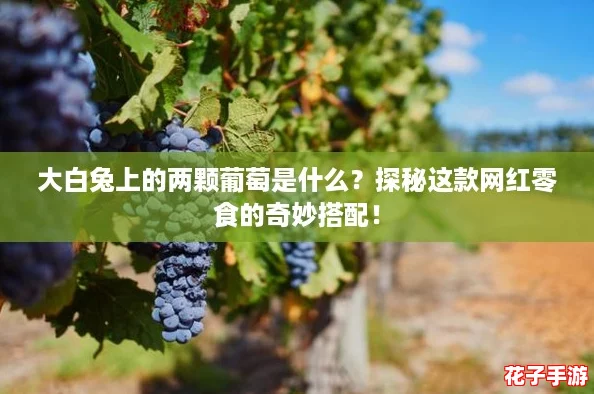 大白兔上的两颗葡萄是什么？探秘这款网红零食的奇妙搭配！