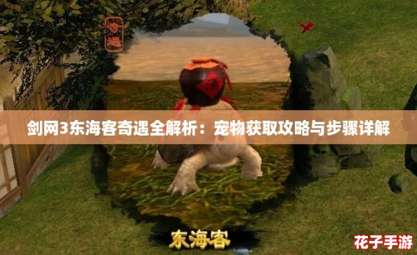 剑网3东海客奇遇全解析：宠物获取攻略与步骤详解