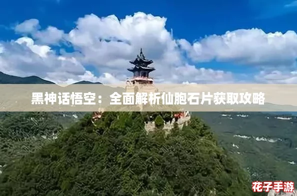 黑神话悟空：全面解析仙胞石片获取攻略