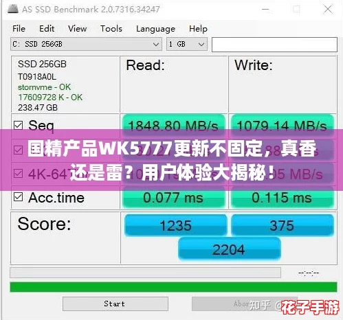 国精产品WK5777更新不固定，真香还是雷？用户体验大揭秘！