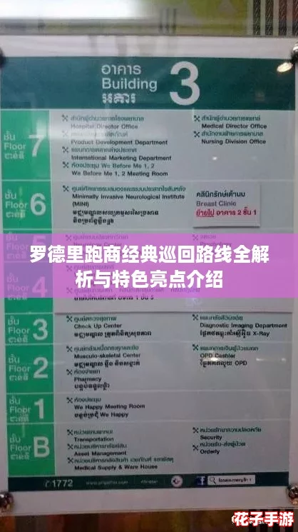 罗德里跑商经典巡回路线全解析与特色亮点介绍