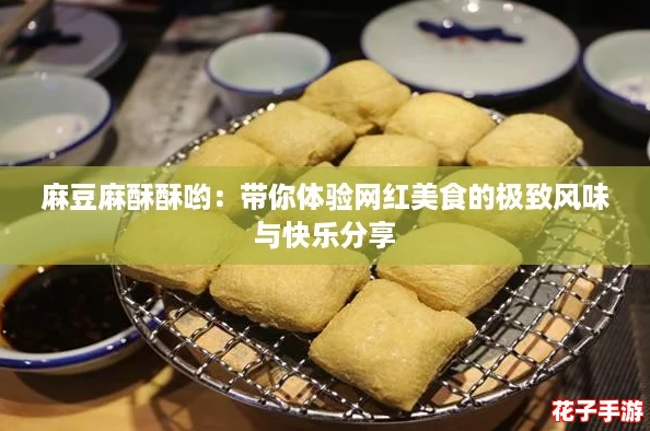 麻豆麻酥酥哟：带你体验网红美食的极致风味与快乐分享