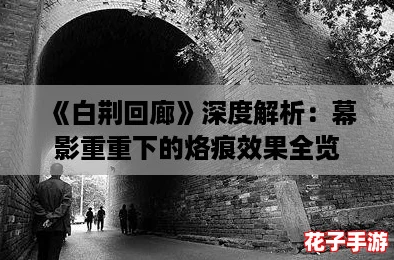 《白荆回廊》深度解析：幕影重重下的烙痕效果全览