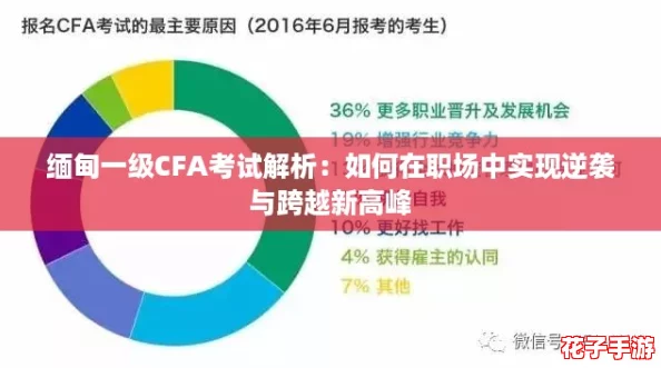 缅甸一级CFA考试解析：如何在职场中实现逆袭与跨越新高峰