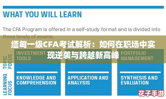 缅甸一级CFA考试解析:如何在职场中实现逆袭与跨越新高峰 缅甸一级CFA考试解析:如何在职场中实现逆袭与跨越新高峰