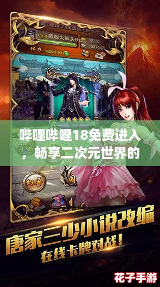 哔哩哔哩18免费进入，畅享二次元世界的无限乐趣与福利