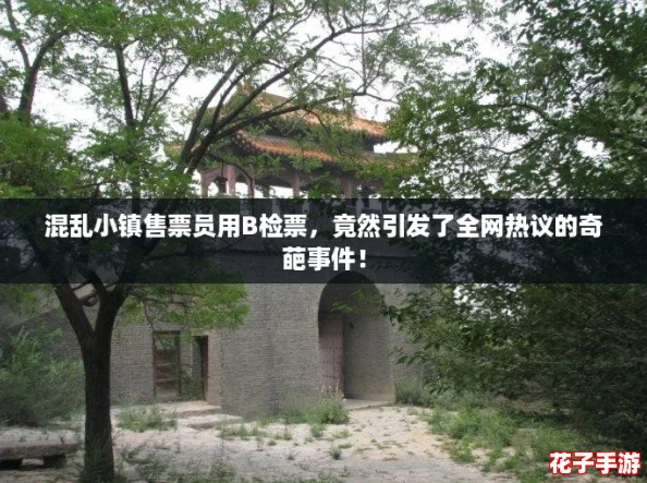 混乱小镇售票员用B检票，竟然引发了全网热议的奇葩事件！