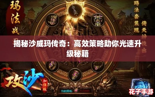 揭秘沙威玛传奇：高效策略助你光速升级秘籍