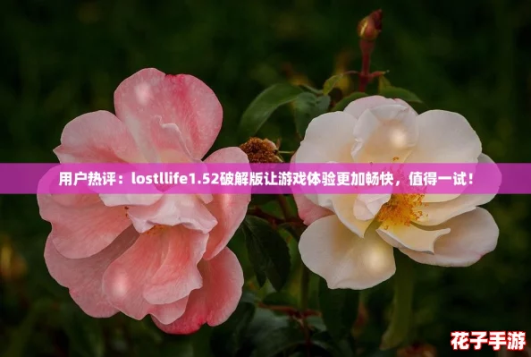 用户热评：lostllife1.52破解版让游戏体验更加畅快，值得一试！