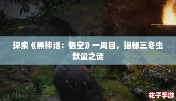 探索《黑神话：悟空》一周目，揭秘三冬虫数量之谜