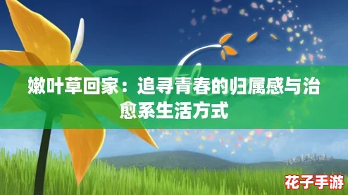 嫩叶草回家：追寻青春的归属感与治愈系生活方式