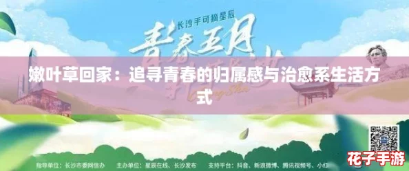 嫩叶草回家:追寻青春的归属感与治愈系生活方式 嫩叶草回家:追寻青春的归属感与治愈系生活方式