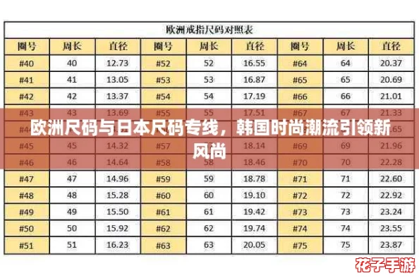欧洲尺码与日本尺码专线，韩国时尚潮流引领新风尚