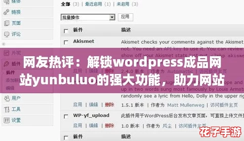 网友热评：解锁wordpress成品网站yunbuluo的强大功能，助力网站建设与管理！