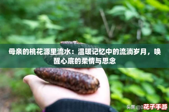 母亲的桃花源里流水：温暖记忆中的流淌岁月，唤醒心底的柔情与思念