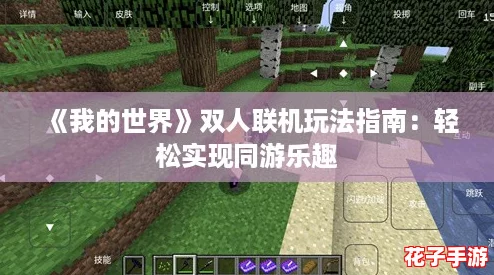 《我的世界》双人联机玩法指南：轻松实现同游乐趣