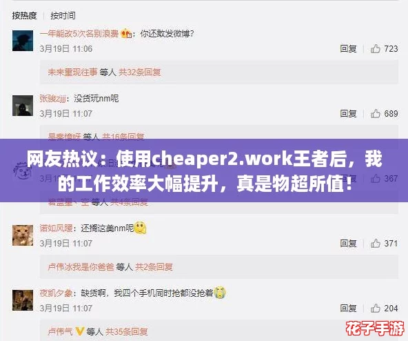 网友热议：使用cheaper2.work王者后，我的工作效率大幅提升，真是物超所值！