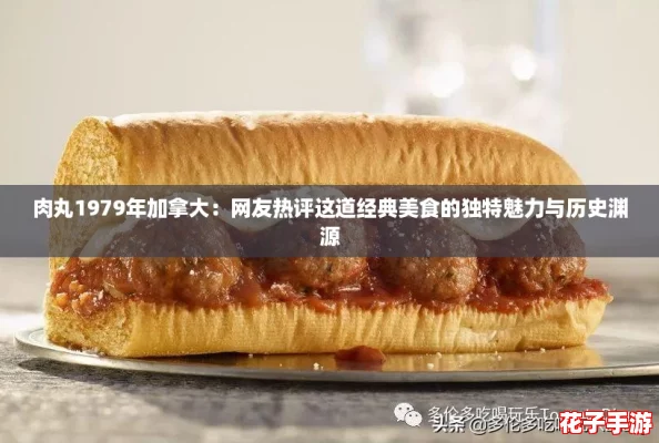 肉丸1979年加拿大：网友热评这道经典美食的独特魅力与历史渊源
