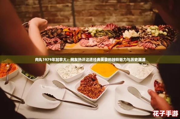 肉丸1979年加拿大:网友热评这道经典美食的独特魅力与历史渊源 肉丸1979年加拿大:网友热评这道经典美食的独特魅力与历史渊源