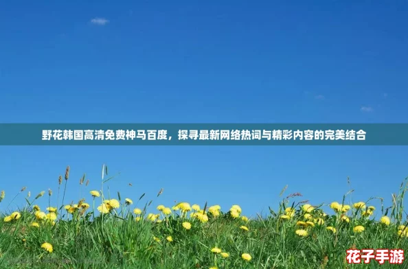 野花韩国高清免费神马百度，探寻最新网络热词与精彩内容的完美结合