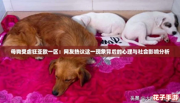 母狗受虐狂亚欧一区：网友热议这一现象背后的心理与社会影响分析