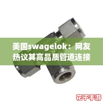 美国swagelok：网友热议其高品质管道连接解决方案，值得信赖的选择！