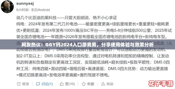 网友热议：GGY钙2024入口廖男男，分享使用体验与效果分析