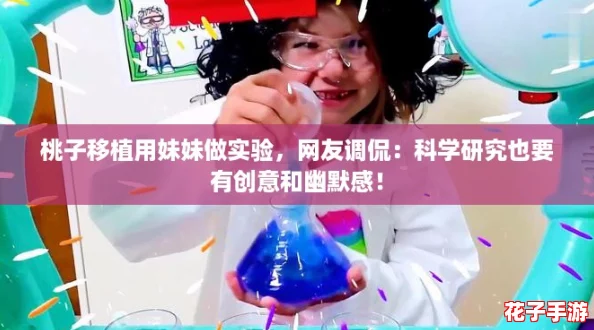 桃子移植用妹妹做实验，网友调侃：科学研究也要有创意和幽默感！