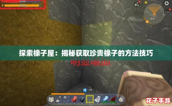 探索橡子屋：揭秘获取珍贵橡子的方法技巧