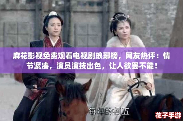 麻花影视免费观看电视剧琅琊榜，网友热评：情节紧凑，演员演技出色，让人欲罢不能！