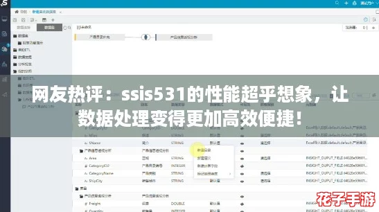 网友热评：ssis531的性能超乎想象，让数据处理变得更加高效便捷！