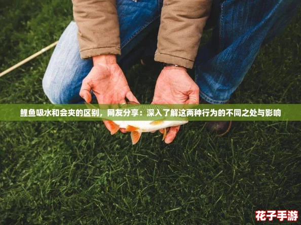 鲤鱼吸水和会夹的区别，网友分享：深入了解这两种行为的不同之处与影响