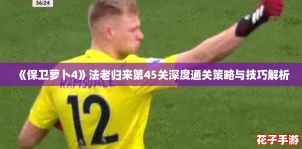 《保卫萝卜4》法老归来第45关深度通关策略与技巧解析 《保卫萝卜4》法老归来第45关深度通关策略与技巧解析