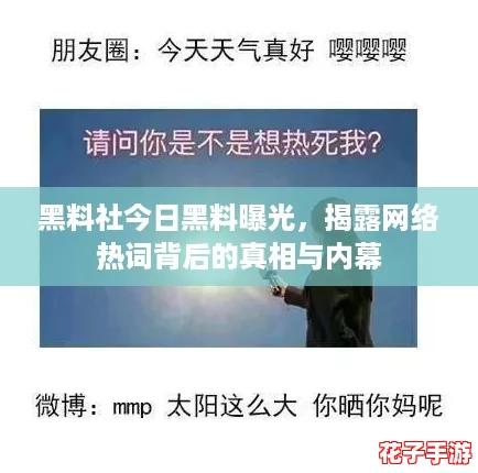 黑料社今日黑料曝光，揭露网络热词背后的真相与内幕