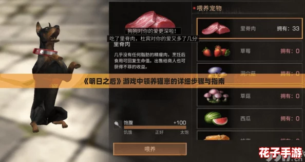《明日之后》游戏中领养猫崽的详细步骤与指南