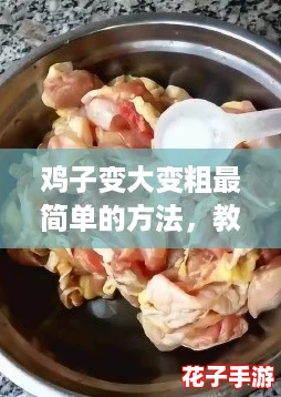 鸡子变大变粗最简单的方法,教你如何轻松逆袭成为“吃货”! 鸡子变大变粗最简单的方法,教你如何轻松逆袭成为“吃货”!
