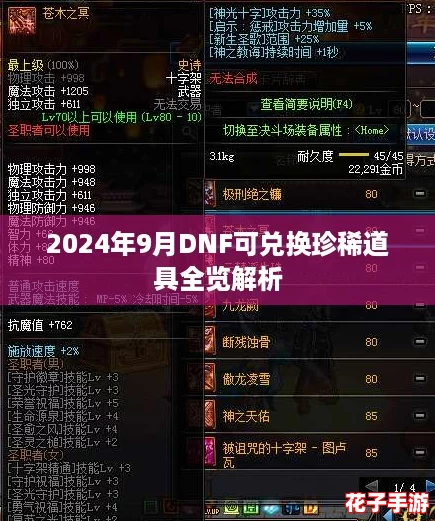 2024年9月DNF可兑换珍稀道具全览解析 2024年9月DNF可兑换珍稀道具全览解析