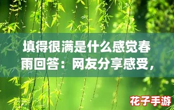 填得很满是什么感觉春雨回答：网友分享感受，春天的细腻与温暖交织在心间
