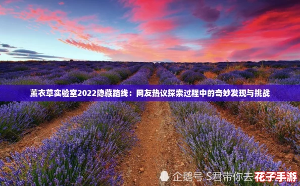 薰衣草实验室2022隐藏路线：网友热议探索过程中的奇妙发现与挑战