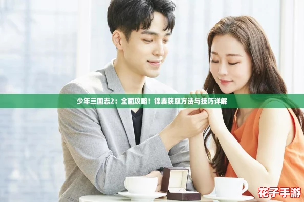 少年三国志2：全面攻略！锦囊获取方法与技巧详解