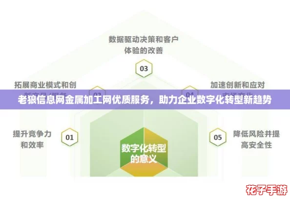 老狼信息网金属加工网优质服务,助力企业数字化转型新趋势 老狼信息网金属加工网优质服务,助力企业数字化转型新趋势