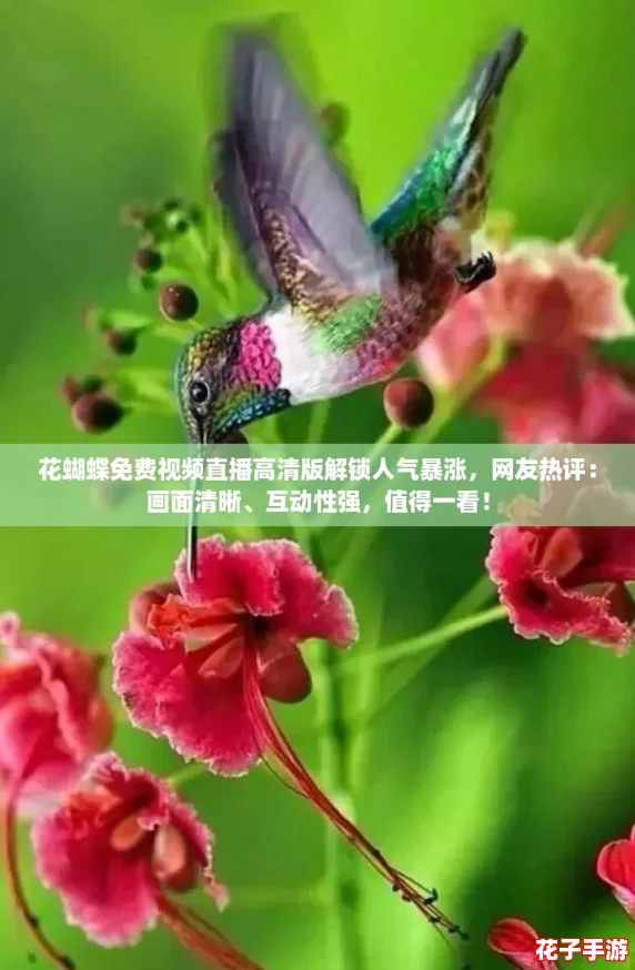 花蝴蝶免费视频直播高清版解锁人气暴涨,网友热评:画面清晰、互动性强,值得一看! 花蝴蝶免费视频直播高清版解锁人气暴涨,网友热评:画面清晰、互动性强,值得一看!