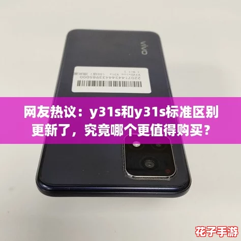 网友热议：y31s和y31s标准区别更新了，究竟哪个更值得购买？