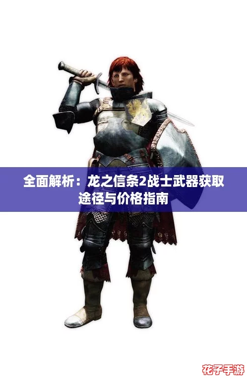 全面解析：龙之信条2战士武器获取途径与价格指南