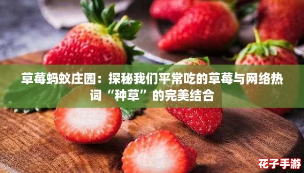 草莓蚂蚁庄园：探秘我们平常吃的草莓与网络热词“种草”的完美结合