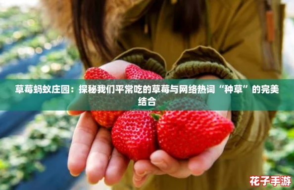草莓蚂蚁庄园:探秘我们平常吃的草莓与网络热词“种草”的完美结合 草莓蚂蚁庄园:探秘我们平常吃的草莓与网络热词“种草”的完美结合