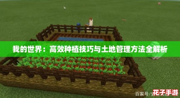 我的世界：高效种植技巧与土地管理方法全解析