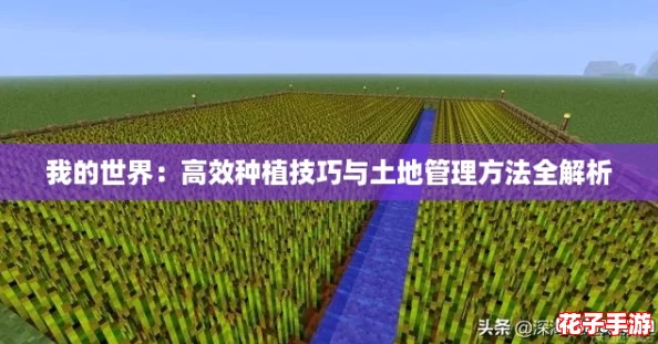 我的世界:高效种植技巧与土地管理方法全解析 我的世界:高效种植技巧与土地管理方法全解析