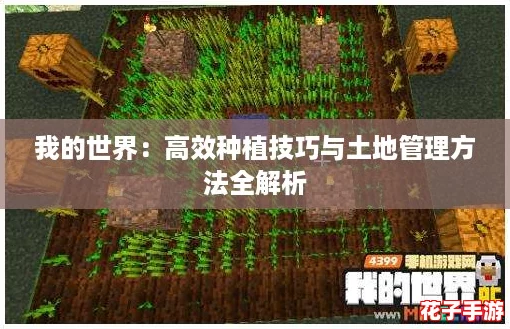 我的世界:高效种植技巧与土地管理方法全解析 我的世界:高效种植技巧与土地管理方法全解析
