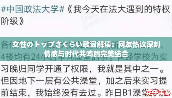女性のトップさくらい歌词解读：网友热议深刻情感与时代共鸣的完美结合